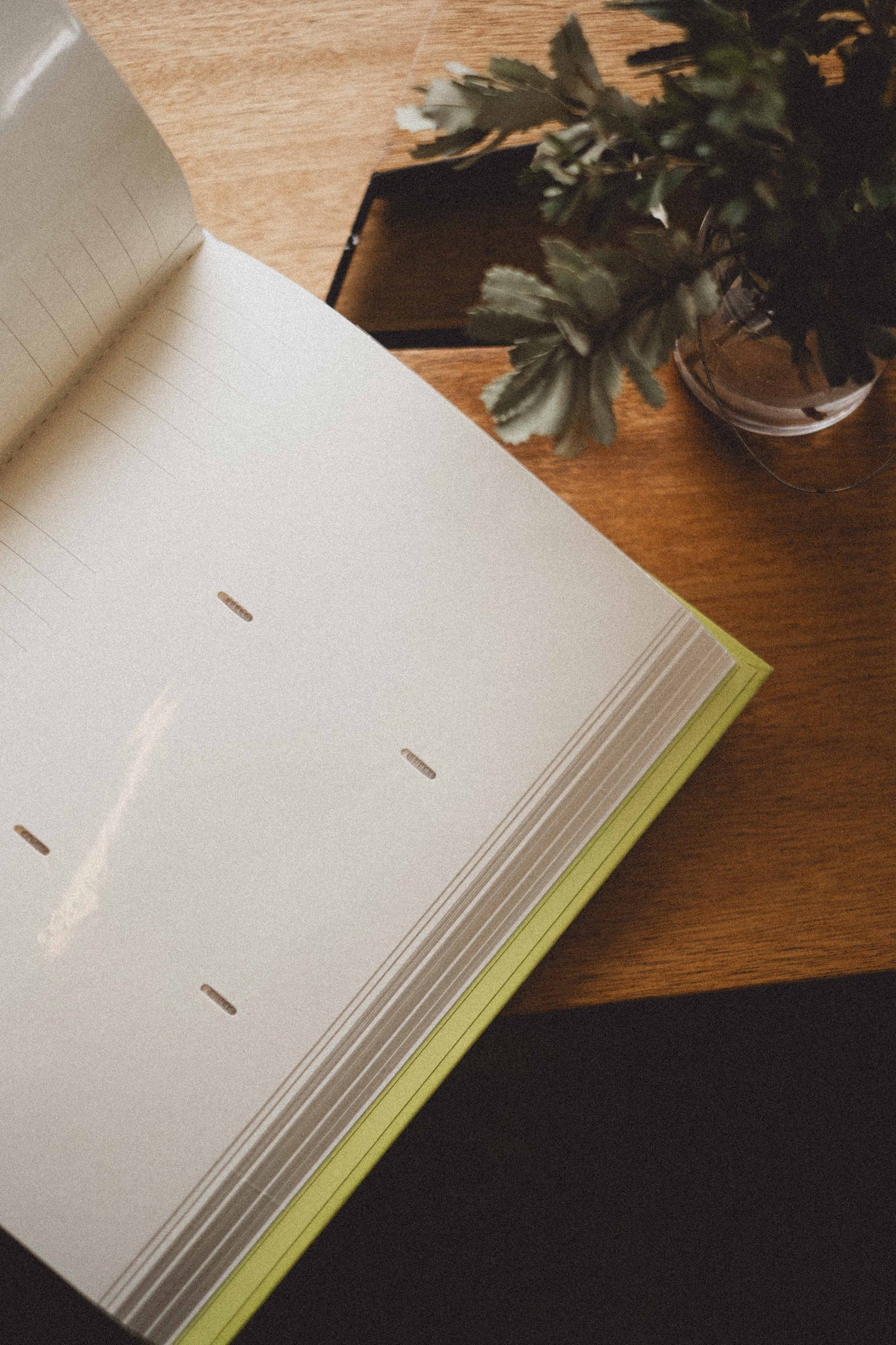 Photo Album - 'Photographs'