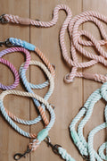 Rope Dog Lead