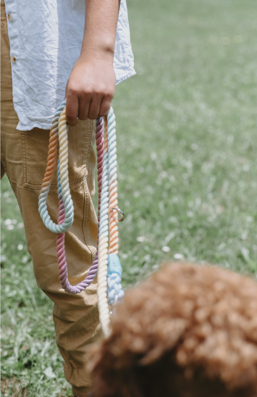 Rope Dog Lead
